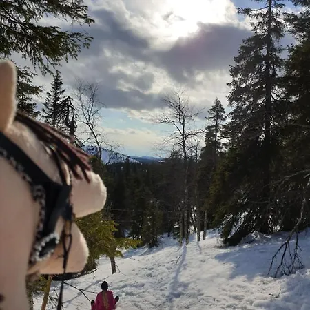 Rukavalley Unique46 In - Out Apartamento Rukatunturi