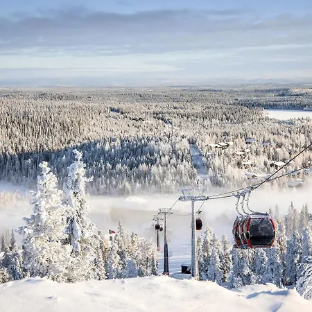 Rukavalley Unique46 In - Out * Рука